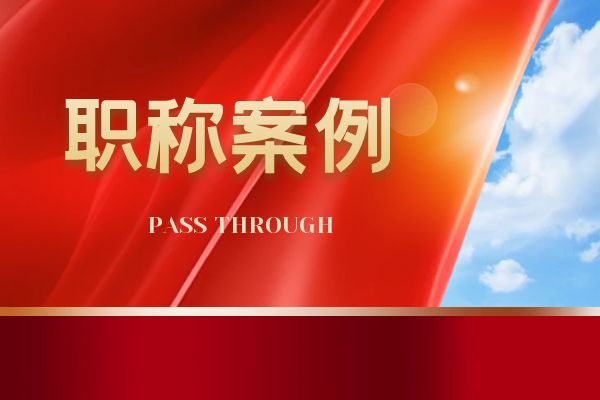 浙江省机电正高级工程师案例